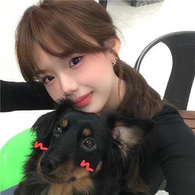 霹雳皇朝之铡龑史